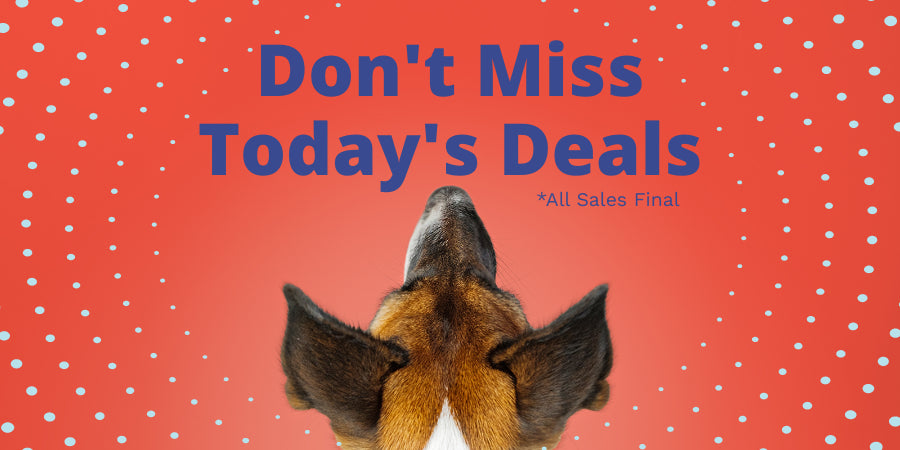 Today's Deals – Keep Doggie Safe