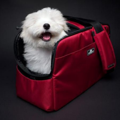 Sleepypod Atom In Cabin Dog and Cat Carrier
