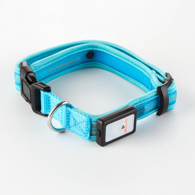 Nite Beams LED USB Rechargeable Dog Collar