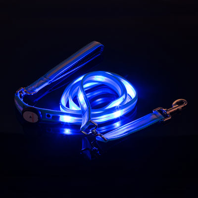 Nite Beams LED Lighted Dog Leash