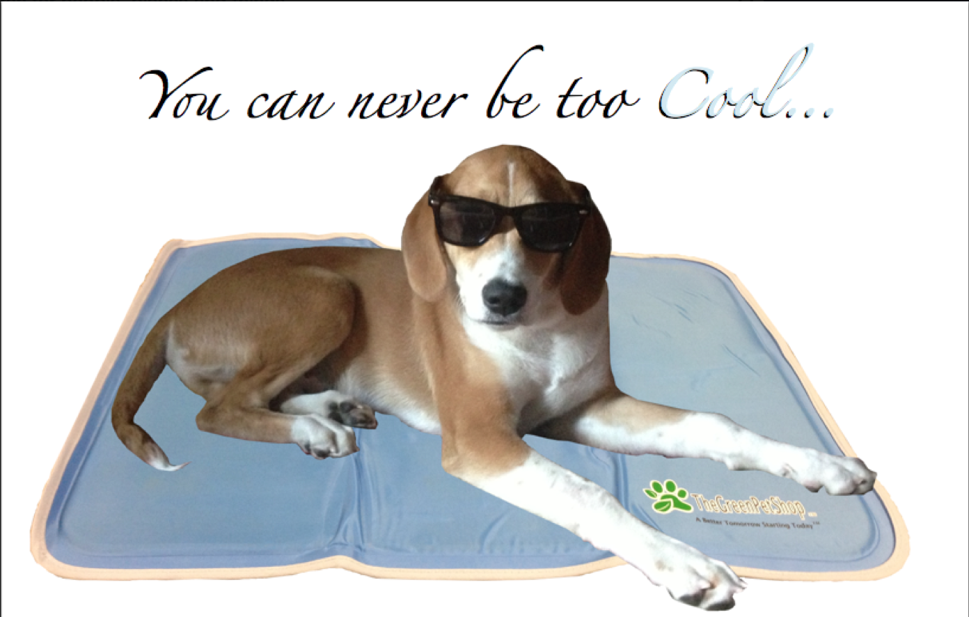 Cool Pet Dog Cooling Pad - Keep Doggie Safe