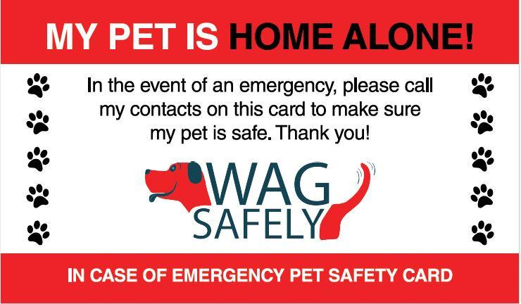 Pet Home Alone Emergency Wallet Cards | KeepDoggieSafe.com – Keep Doggie Safe for Free Printable Pet Emergency Card