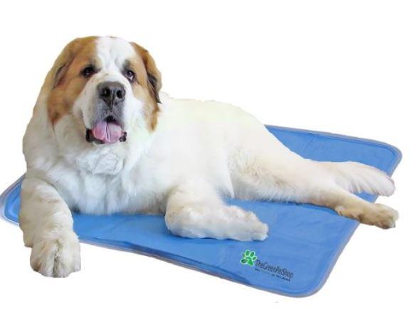 Pupsicle cool gel pet online pad mat reviews