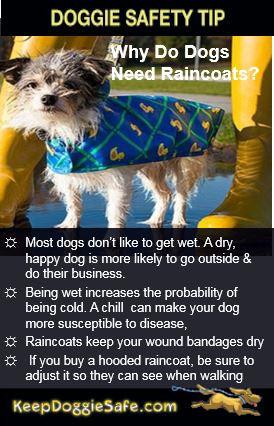 Packable Dog Raincoat - Keep Doggie Safe