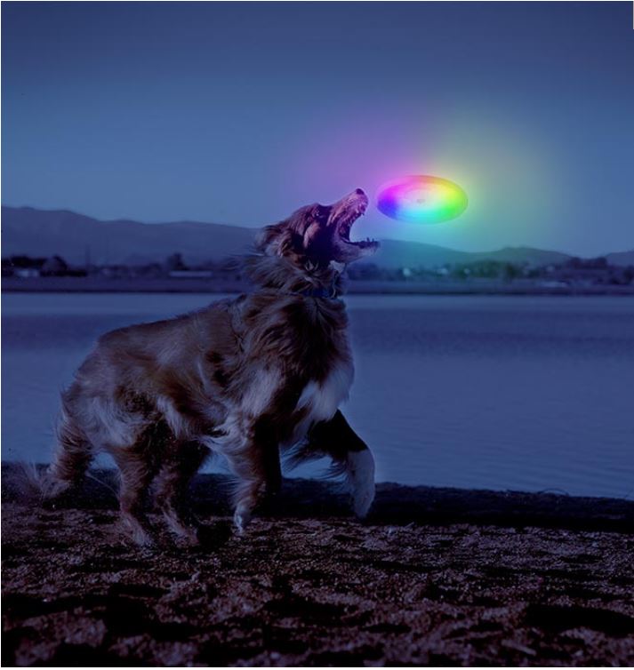 NiteIze Dog Discuit Multi-Color Lighted Dog Frisbee