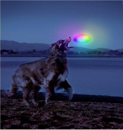 NiteIze Dog Discuit Multi-Color Lighted Dog Frisbee