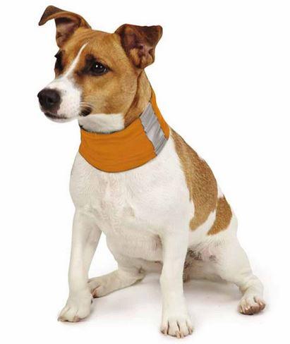 Dog hotsell neck shield