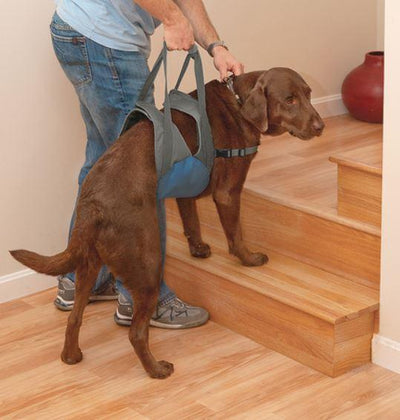 Kurgo Up & About Dog Lifter - Keep Doggie Safe