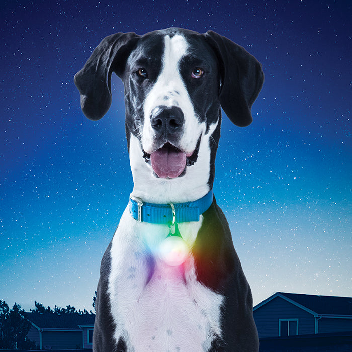 Nite Ize SpotLit XL Rechargeable Disc-O Select Dog Collar Light