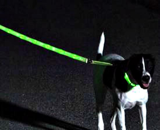 Nitebeam LED Lighted Dog Leash -Rechargeable - Keep Doggie Safe