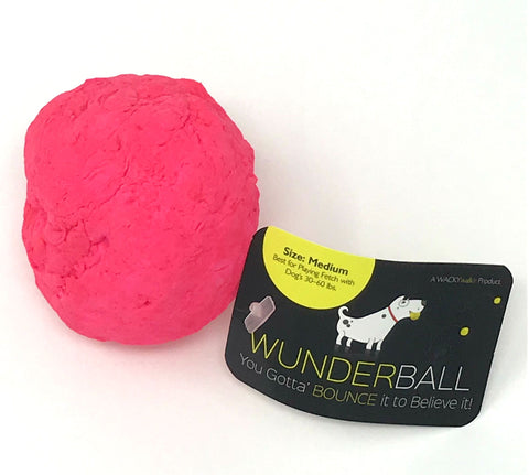 Wunderball Dog Toy Fetch Ball by WackyWalkr