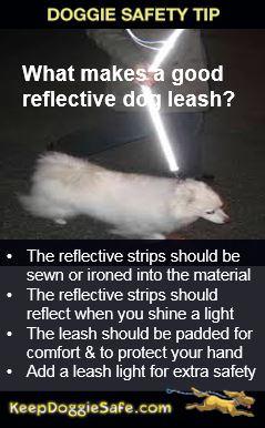 Alcott Reflective Hi-Viz Dog Leash - Keep Doggie Safe