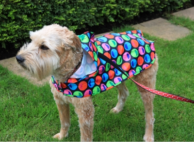 RC Pets Packable Dog Rain Coat