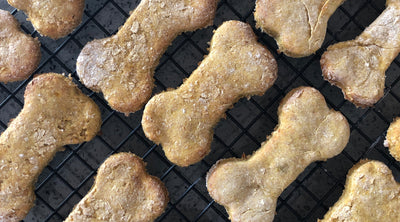 15 Dog Treat Recipes To Spoil Your Dog