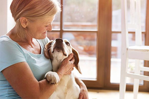 10 Toxins to Keep Away From Your Pets