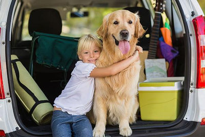 10 Tips for Traveling with your Dog