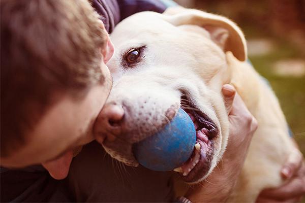 5 Activities That Doggies Love