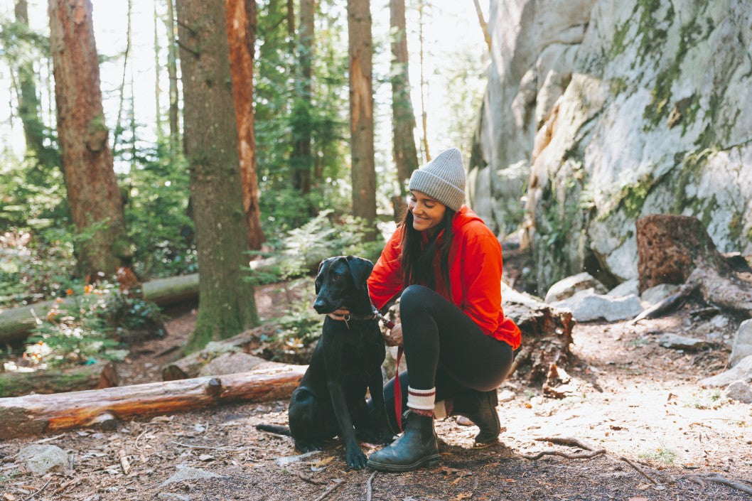 How To Keep Your Dog Healthy And Comfortable While In The Great Outdoors