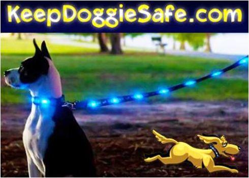 Tips for Buying a Lighted Dog Leash