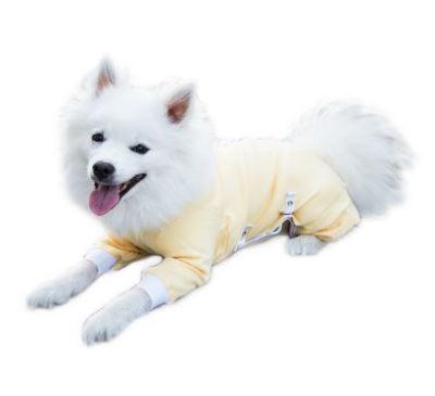 Tips for Selecting a Post Surgery Dog Garment