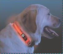Niteize Lighted Dog Collar Review