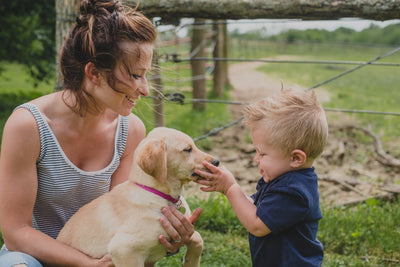5 Good and Bad Ways For Children to Interact With Dogs
