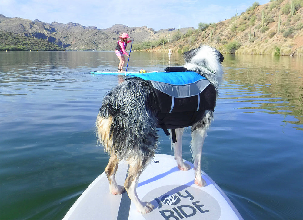Alcott Water Adventure Dog Life Jacket