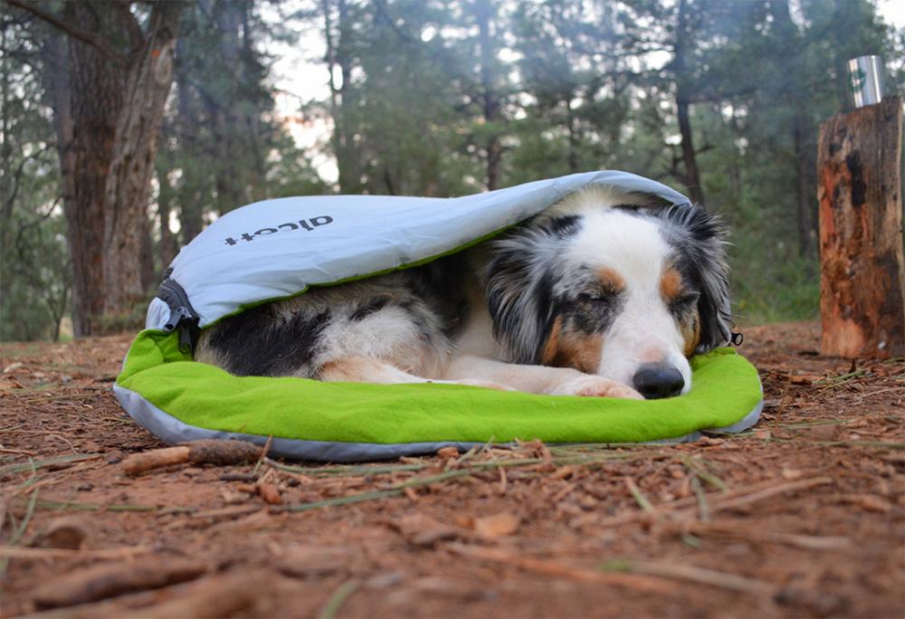 Alcott Explorer Dog Sleeping Bag