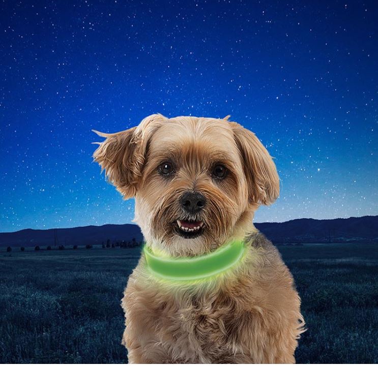 Nite Ize NiteDog Rechargeable LED Dog Collar
