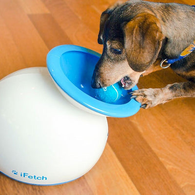 ifetch Dog Ball Machine for Small & Medium Dogs - Keep Doggie Safe