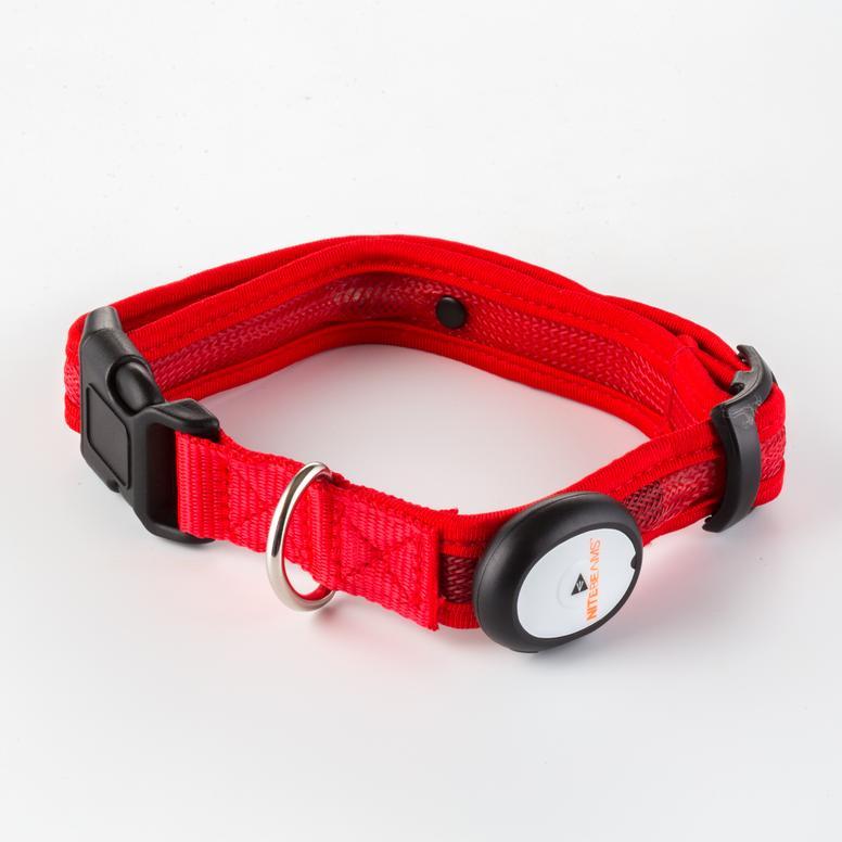 Nitebeam LED Dog Collar - Keep Doggie Safe