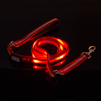 Nite Beams LED USB Rechargeable Lighted Dog Leash