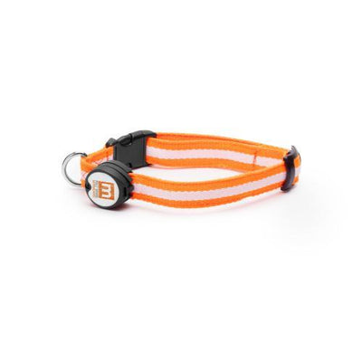 Nitebeam LED Dog Collar - Keep Doggie Safe
