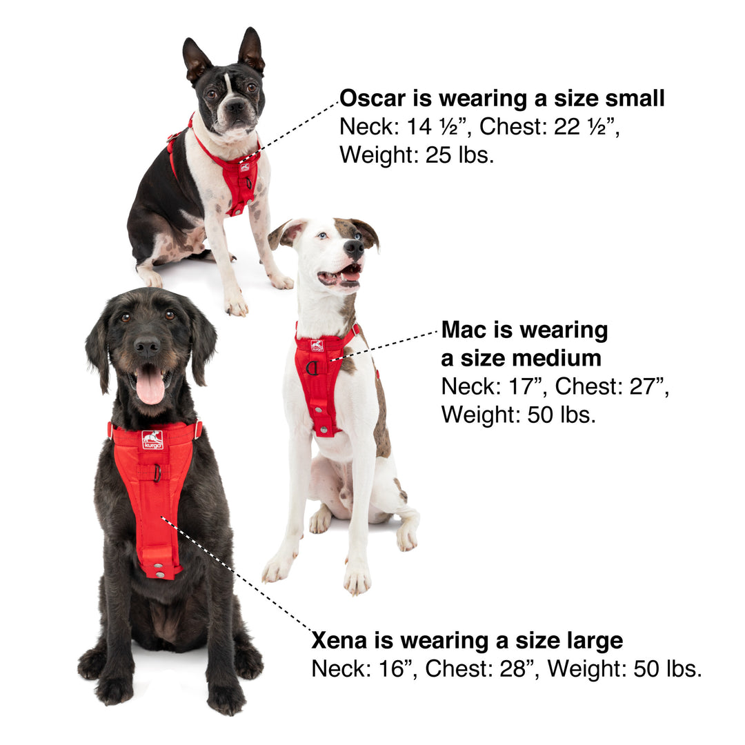 Kurgo Tru Fit Enhanced Strength Crash Tested Smart Harness KeepDoggieSafe Keep Doggie Safe