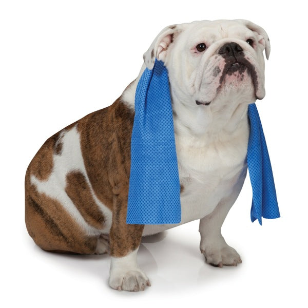 Cool Pup Cooling Dog Towel