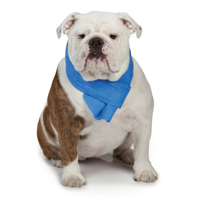 Cool Pup Cooling Dog Towel
