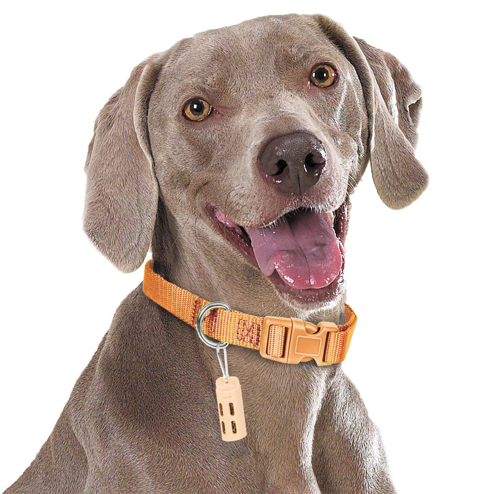 PetScent Aromatherapy Dog Collar Clips by ikaria