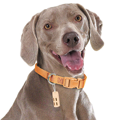 PetScent Aromatherapy Dog Collar Clips by ikaria
