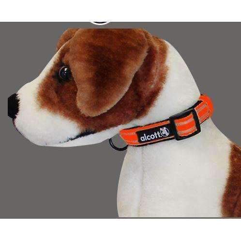 Alcott dog collar best sale