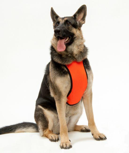 Kumfy Tailz Cooling Harness - Keep Doggie Safe