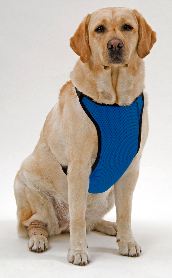 Kumfy Tailz Cooling and Warming Harness