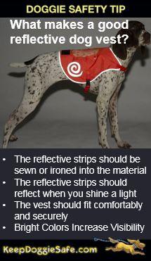 Reflective Dog Hi-Viz Orange Dog Vest - Keep Doggie Safe