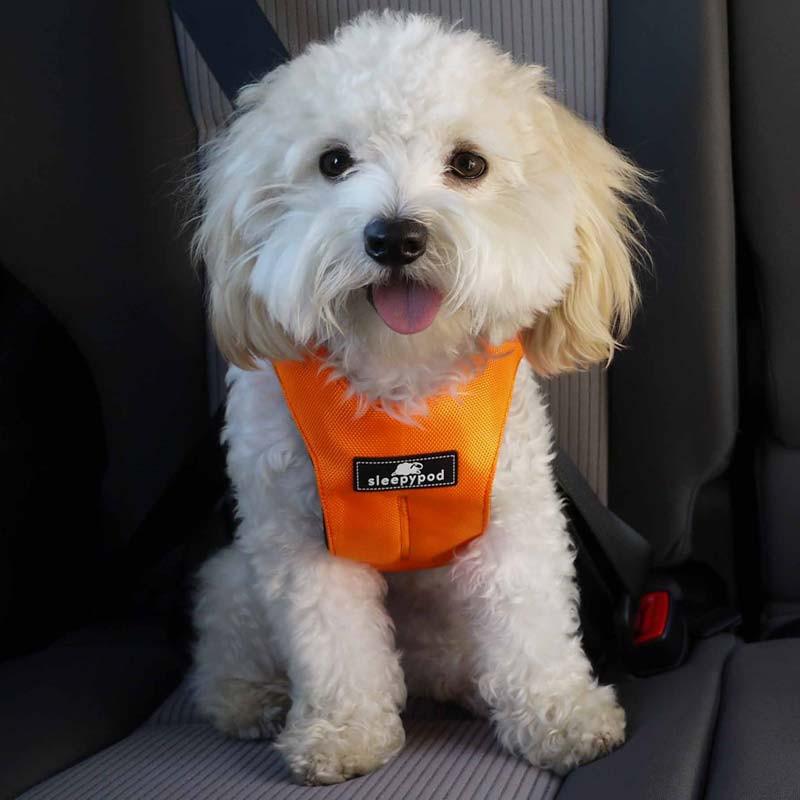 Sleepy Pod Crash-Tested Sport Car Harness - Keep Doggie Safe