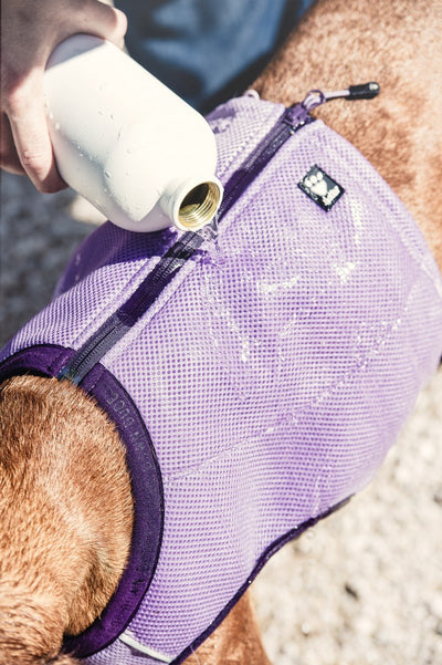 Hurtta Evaporating Cooling Dog Vest