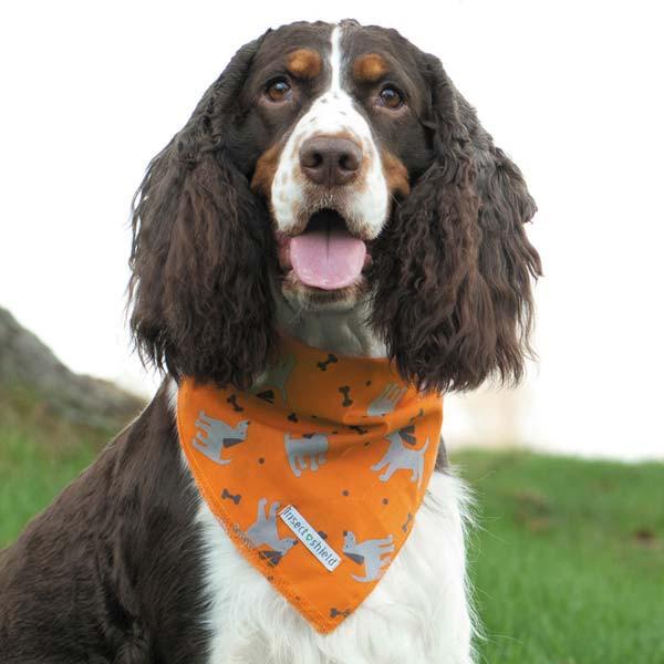 Dog Bandana With Anti-Insect Repellent - Keep Doggie Safe