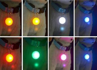 Spotlit Dog Collar Light - Keep Doggie Safe