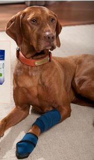HEALERS Medical Leg Wraps with Gauze Pads - Keep Doggie Safe