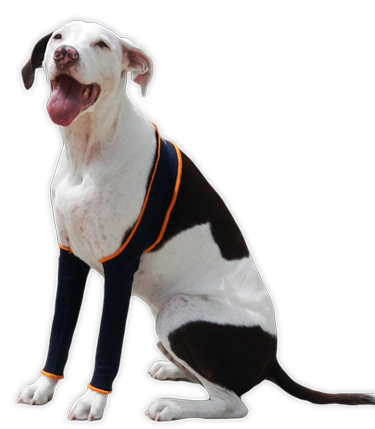 Dog Leg Wraps | Leggings - Keep Doggie Safe