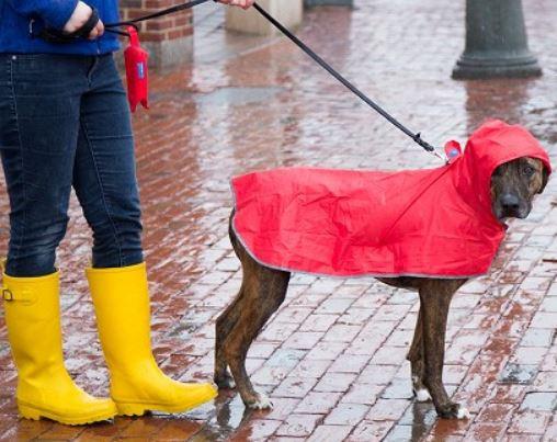 Dog raincoat with umbrella clearance