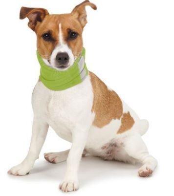 Insect Shield Dog Neck Gaiter - SALE ! - Keep Doggie Safe